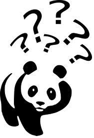 google panda update