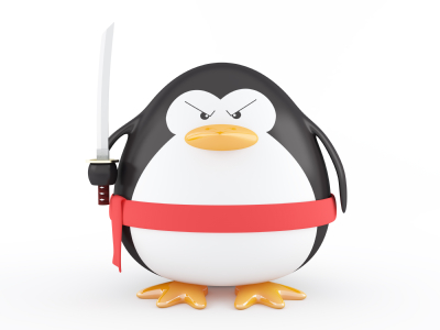 google penguin update