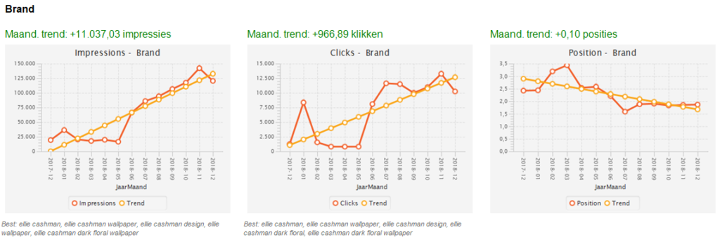 Voorbeeld SEO-prestatiegrafieken via maandelijkse email-notificaties 2